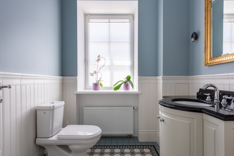 Toilet Repair & Installation in Wesley Chapel, FL - The Wesley Chapel Plumber